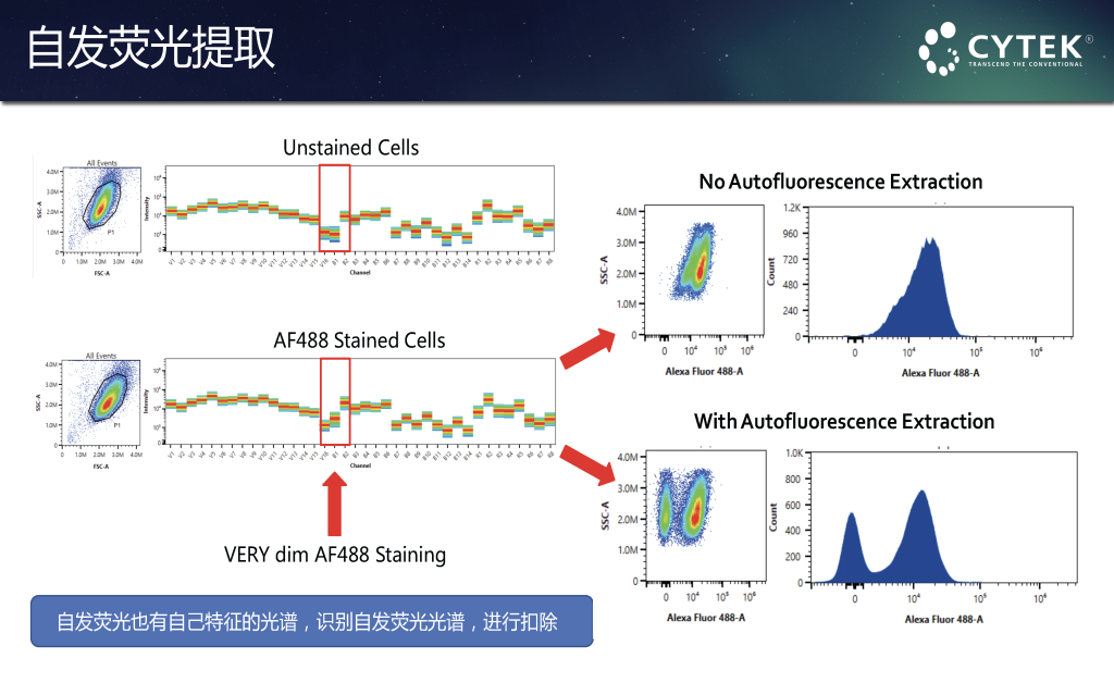 Cytek全光谱流式细胞仪
