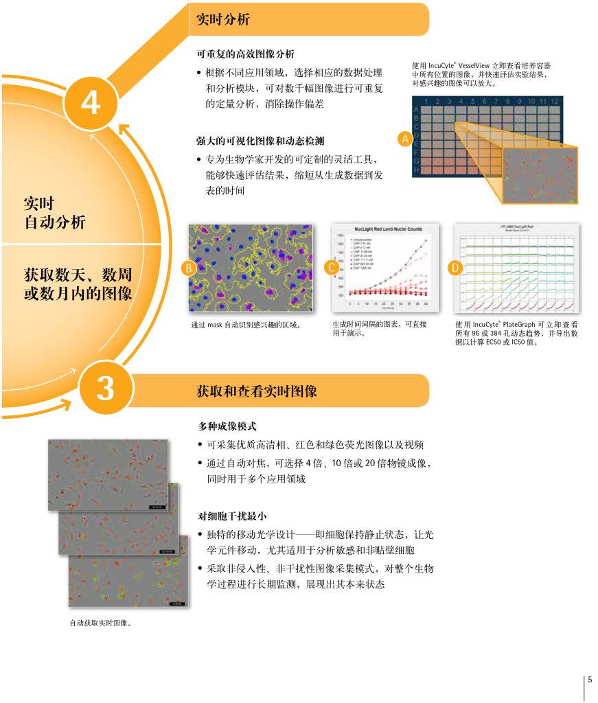 LCD服务——IncuCyte S3 活细胞分析系统