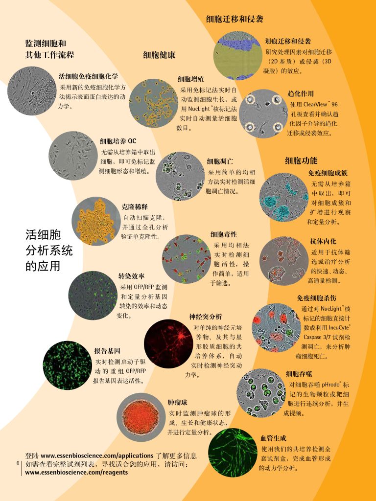 LCD服务——IncuCyte S3 活细胞分析系统