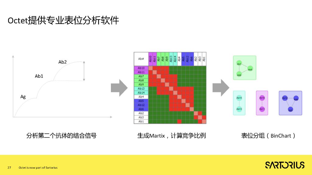 Octet分子互作